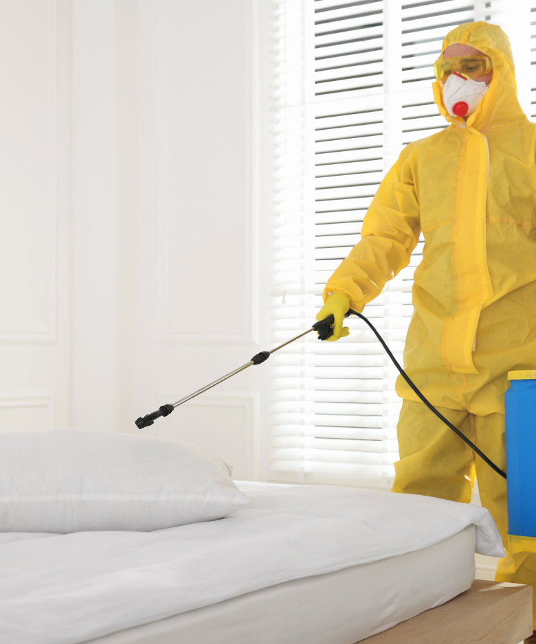 Professional Pest Control Team in Vista